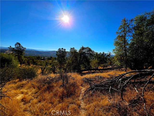 MLS #FR25183342 image #7