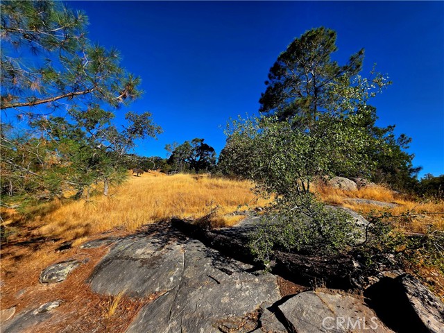 MLS #FR25183342 image #8