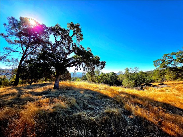 MLS #FR25183342 image #9