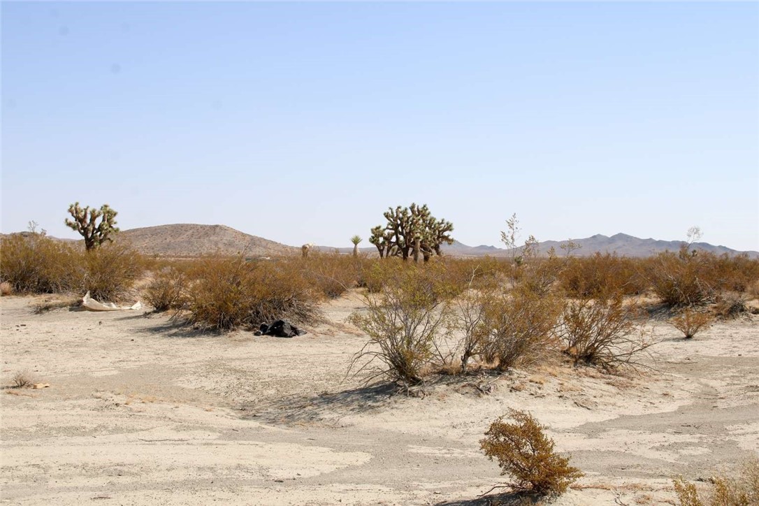 MLS #FR25239273 image #4