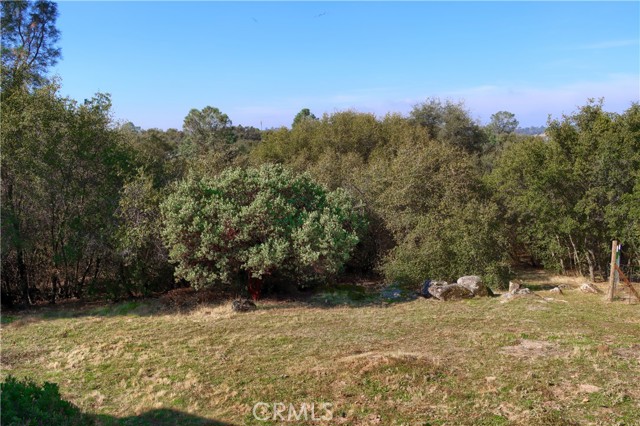 MLS #FR25246886 image #41