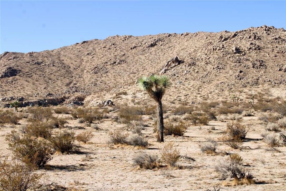 MLS #FR25260979 image #11