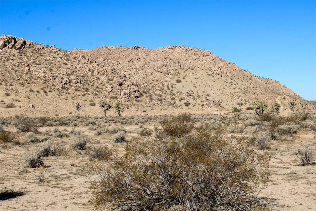 MLS #FR25260979 image #14