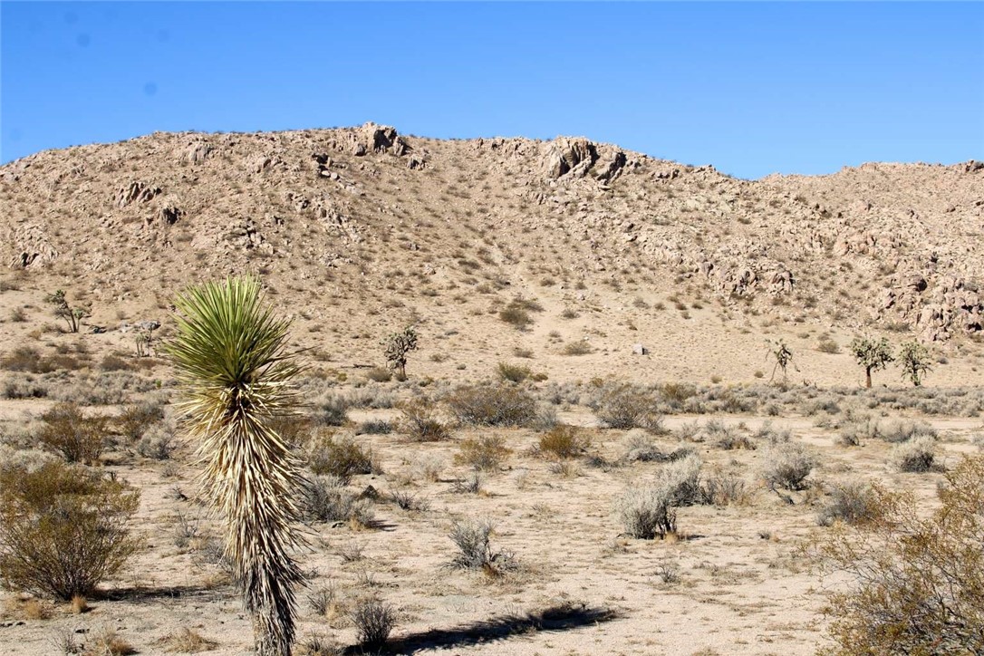 MLS #FR25260979 image #15