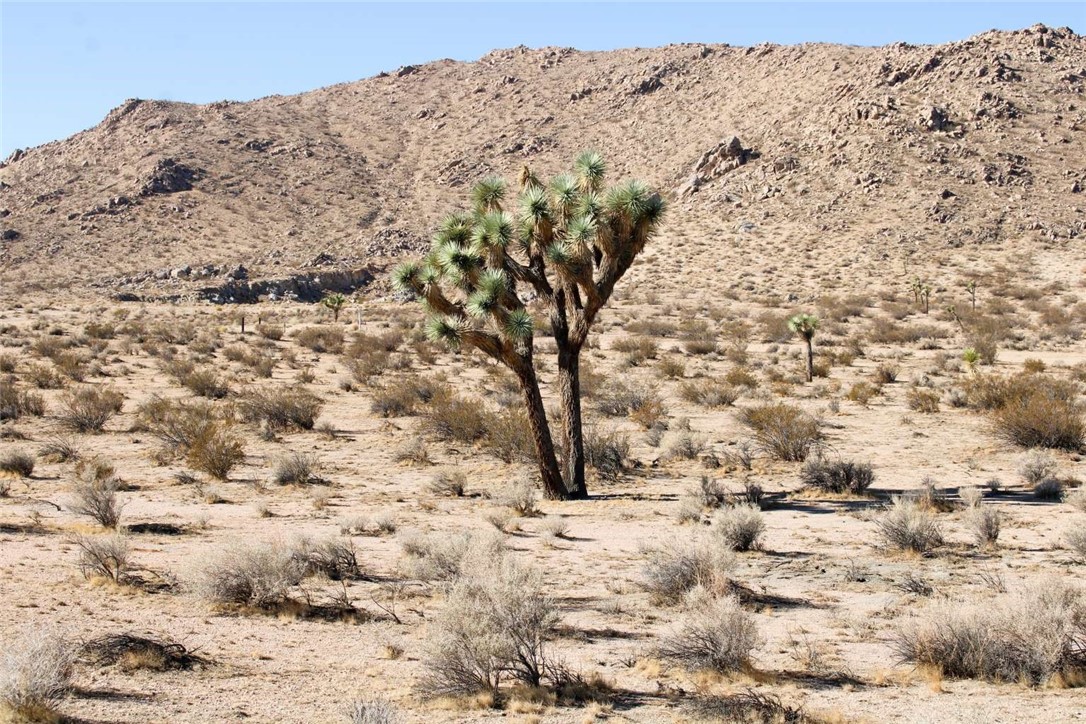 MLS #FR25260979 image #6