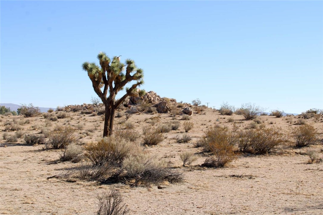 MLS #FR25260979 image #7