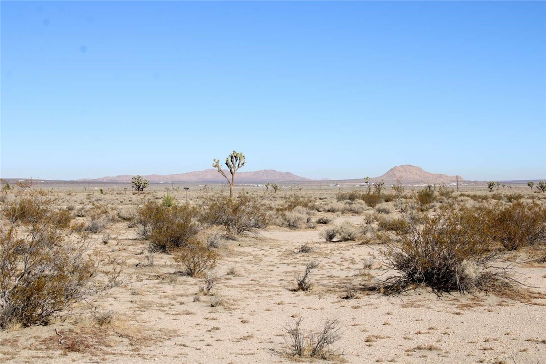 MLS #FR25260979 image #8