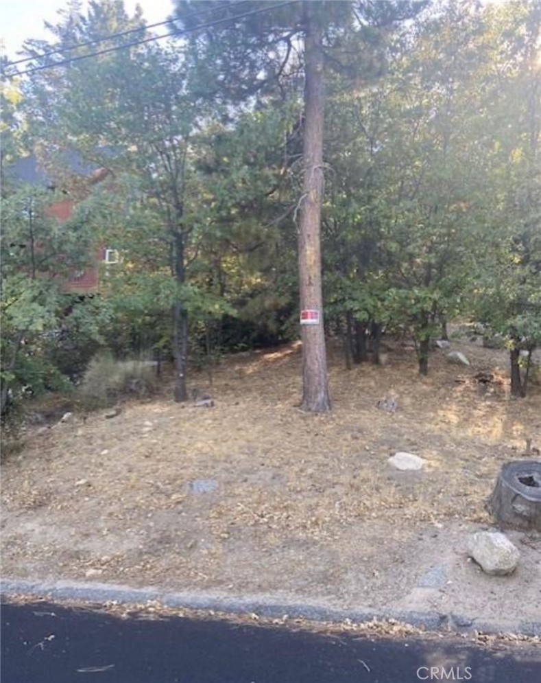 MLS #GD25088735 image #5