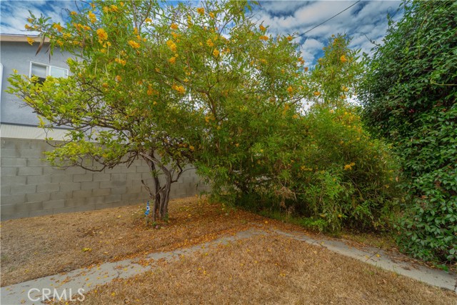 MLS #GD25216388 image #36