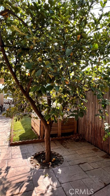 MLS #GD25255678 image #21