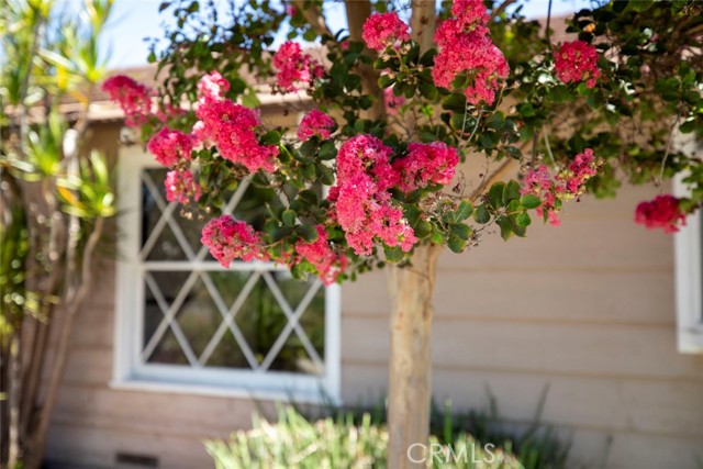 MLS #GD25257665 image #67