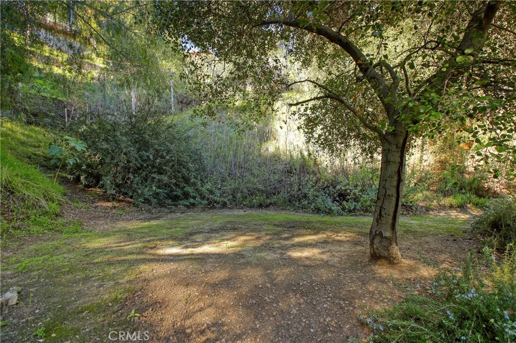 MLS #GD25262432 image #24