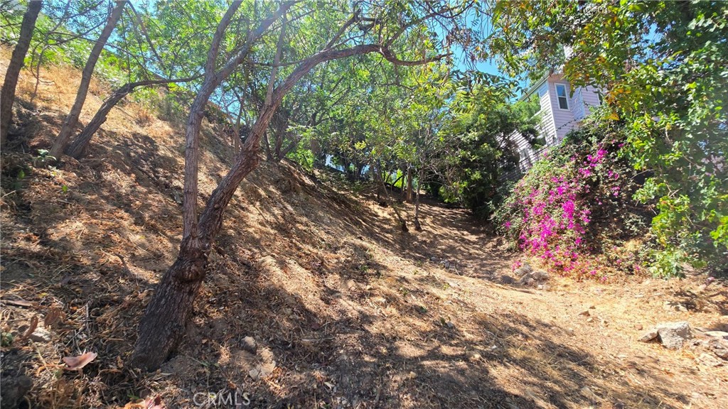 MLS #GD25268544 image #10