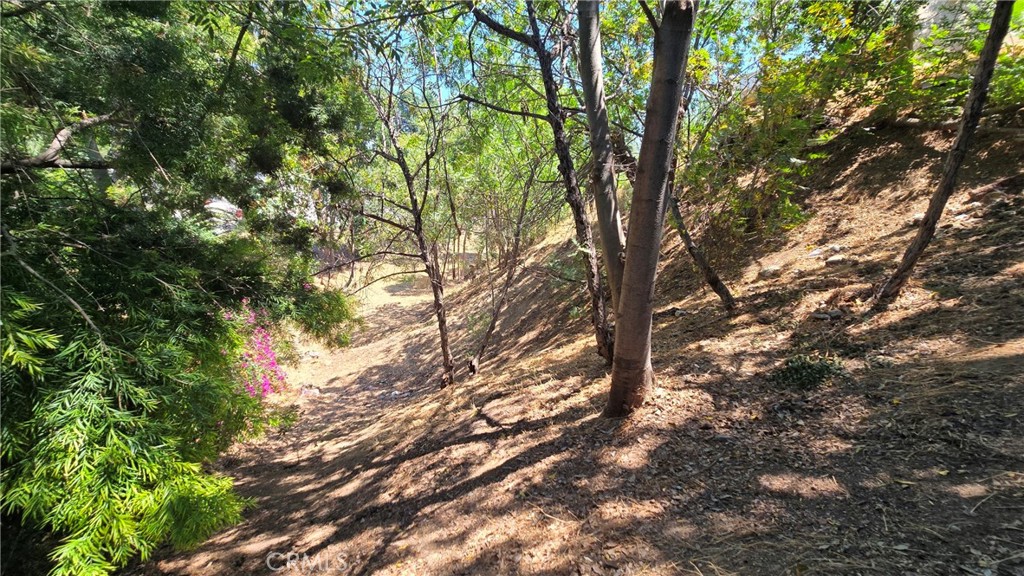 MLS #GD25268544 image #12