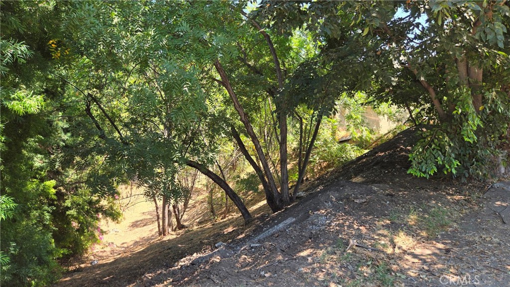 MLS #GD25268544 image #7