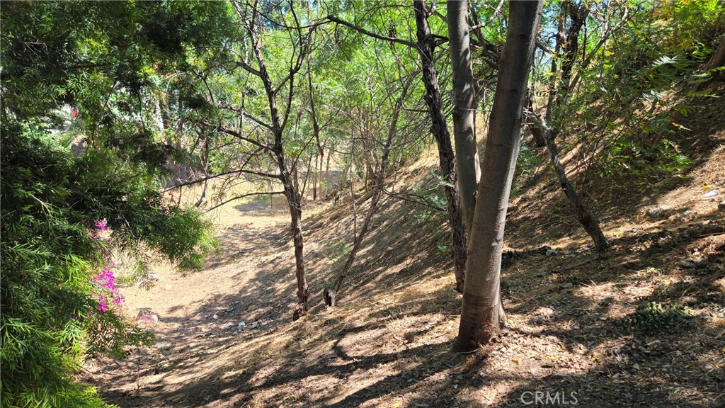 MLS #GD25268544 image #8