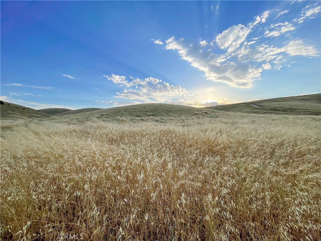 MLS #HD23206785 image #13