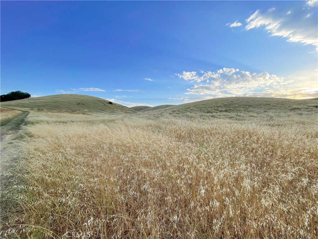 MLS #HD23206785 image #14