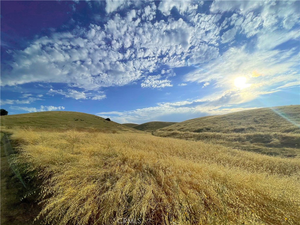 MLS #HD23206785 image #16