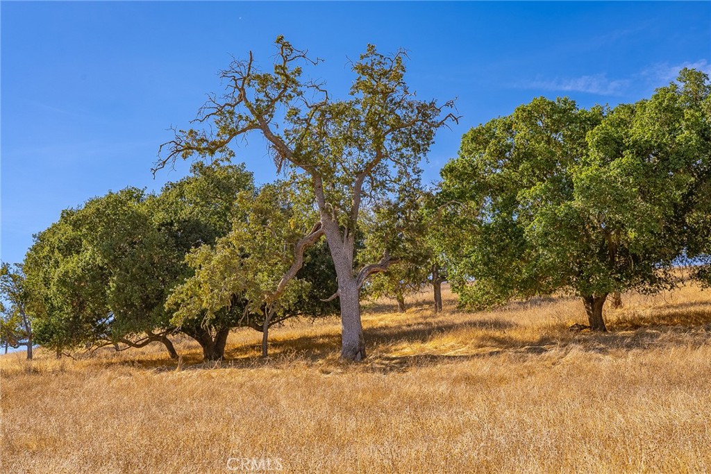 MLS #HD23206785 image #42