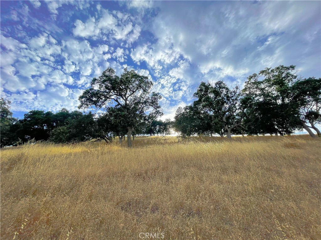 MLS #HD23206785 image #61