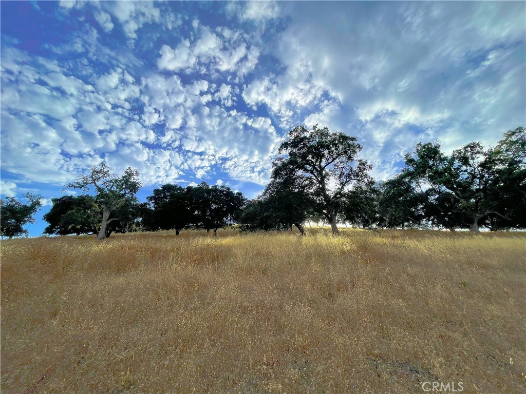 MLS #HD23206785 image #63