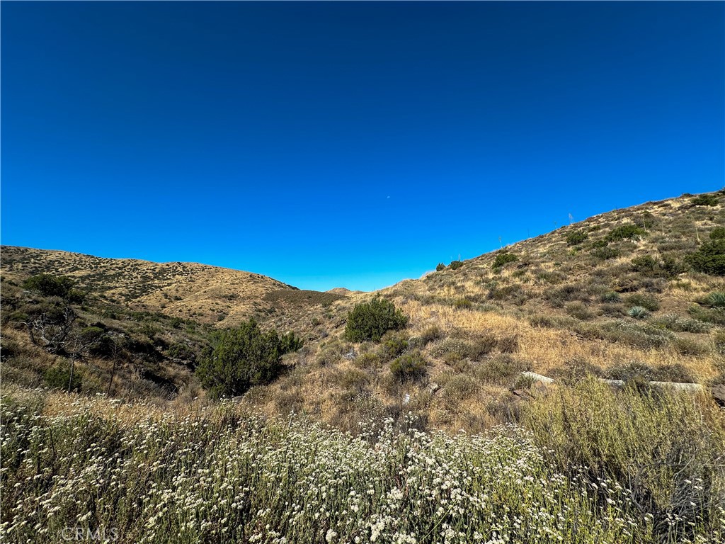 MLS #HD24139269 image #5