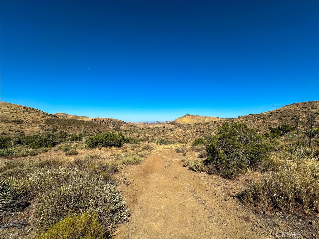 MLS #HD24139269 image #6