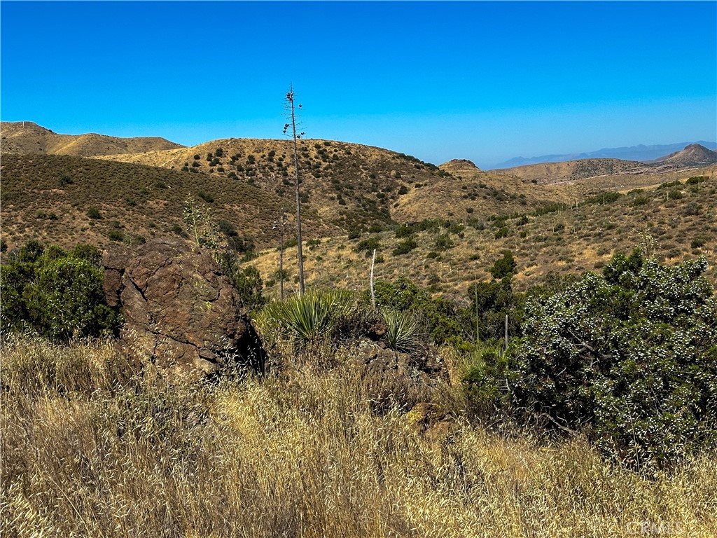 MLS #HD24139269 image #8