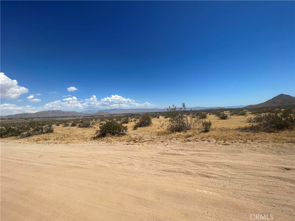 MLS #HD24141273 image #5