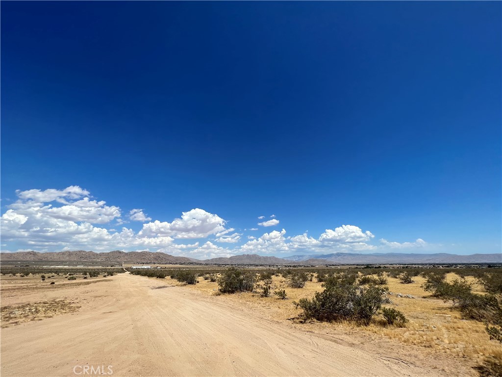 MLS #HD24141273 image #6