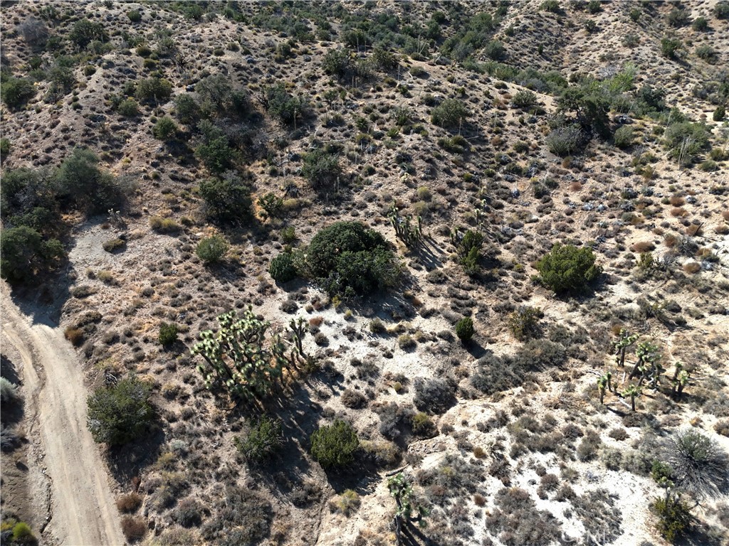 MLS #HD24142762 image #3