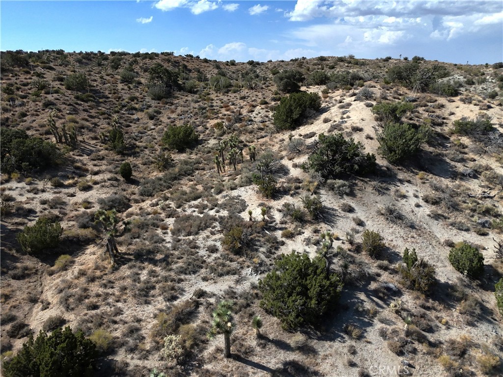 MLS #HD24142762 image #4