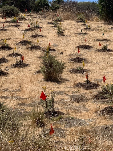 MLS #HD24144158 image #18