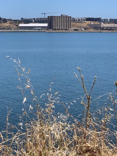 MLS #HD24144158 image #2