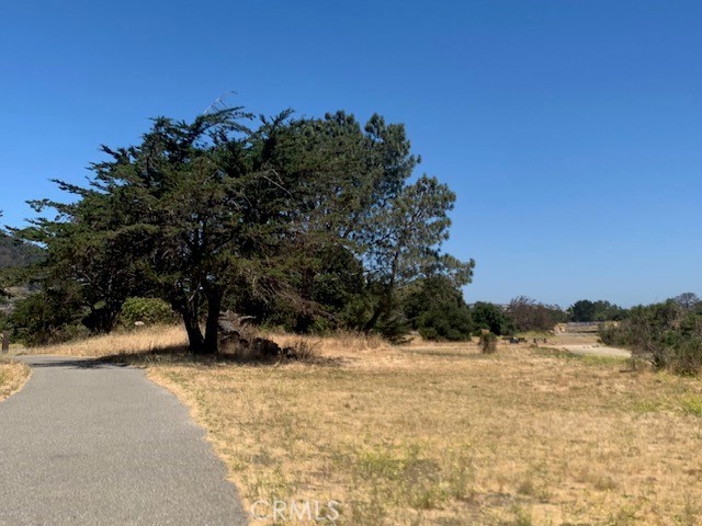 MLS #HD24144158 image #8