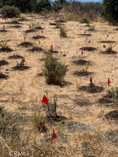 MLS #HD24144222 image #18