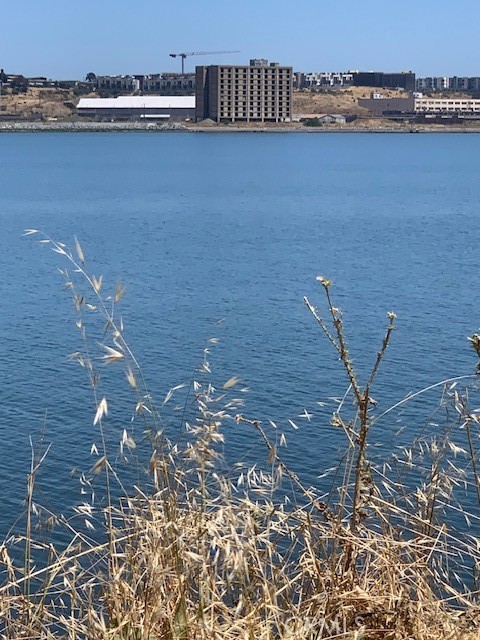 MLS #HD24144222 image #2