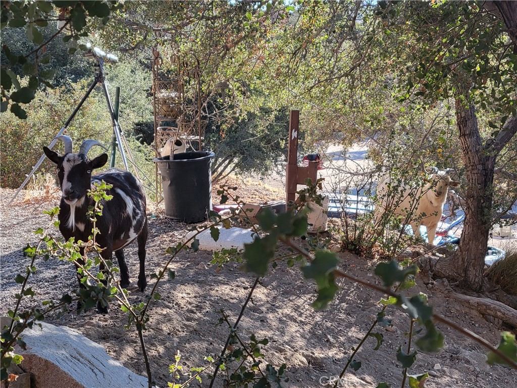 MLS #HD24148777 image #10