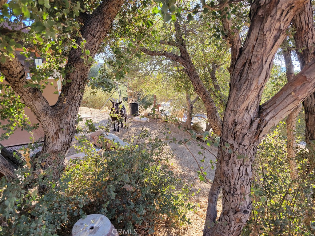 MLS #HD24148777 image #9