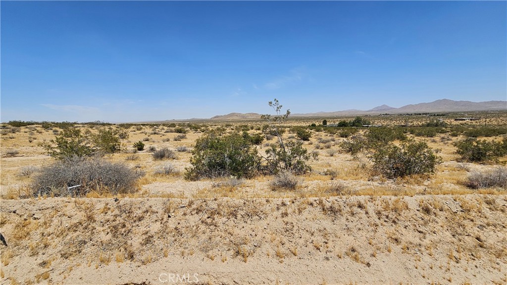 MLS #HD24186196 image #4