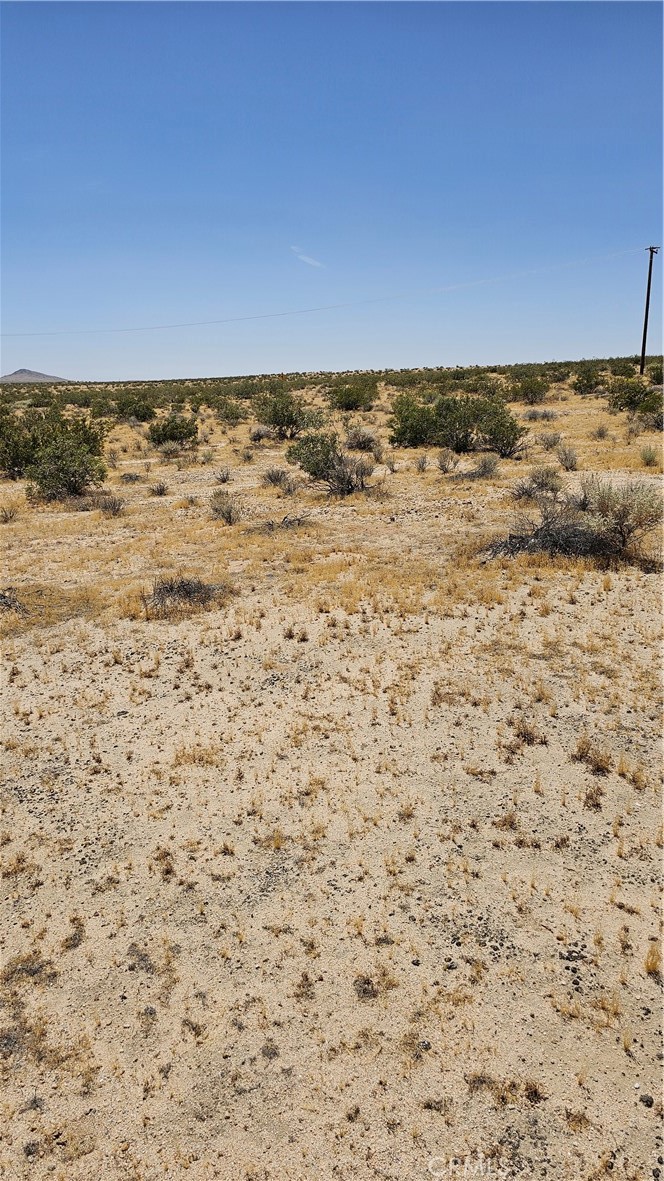 MLS #HD24186196 image #6