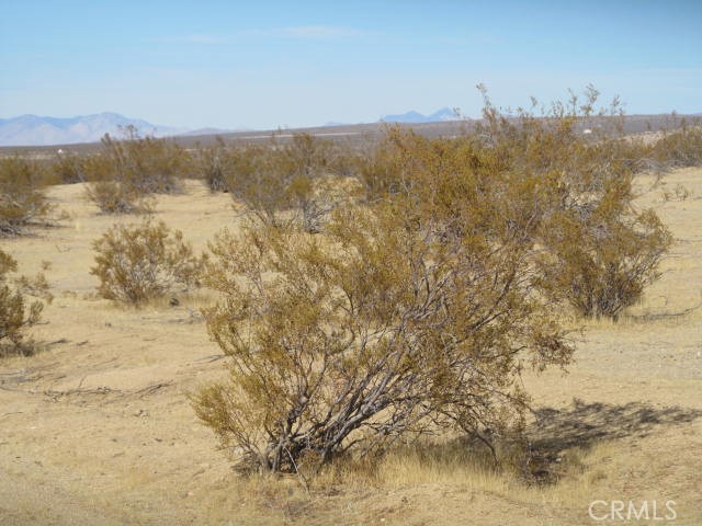 MLS #HD24239018 image #5