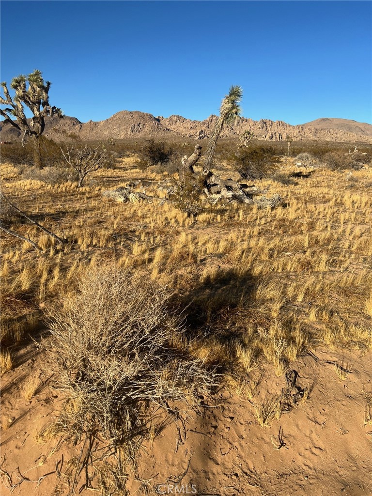 MLS #HD24247215 image #1