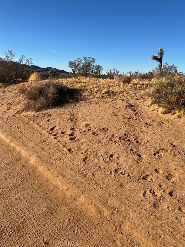 MLS #HD24247215 image #2