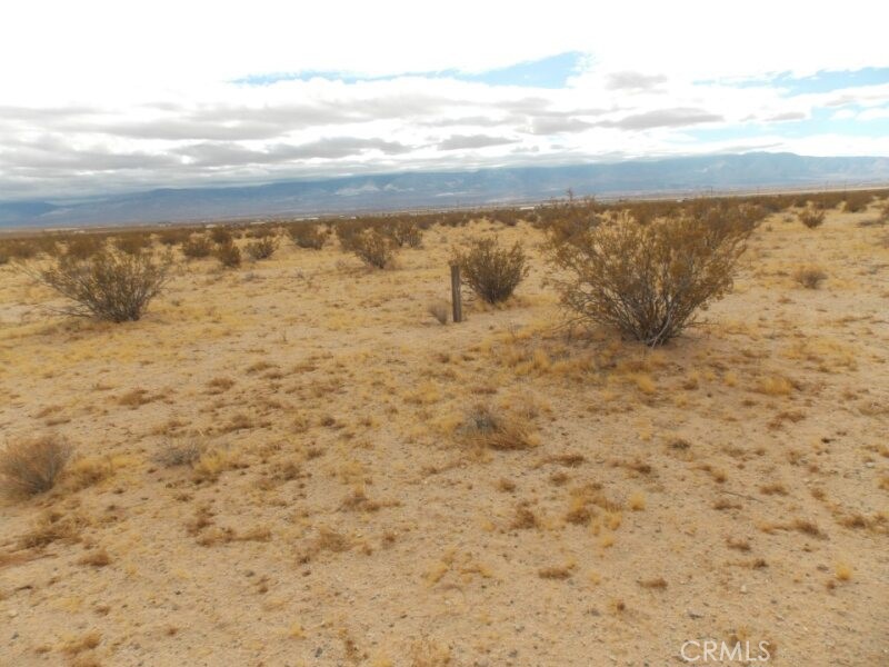 MLS #HD25001749 image #5