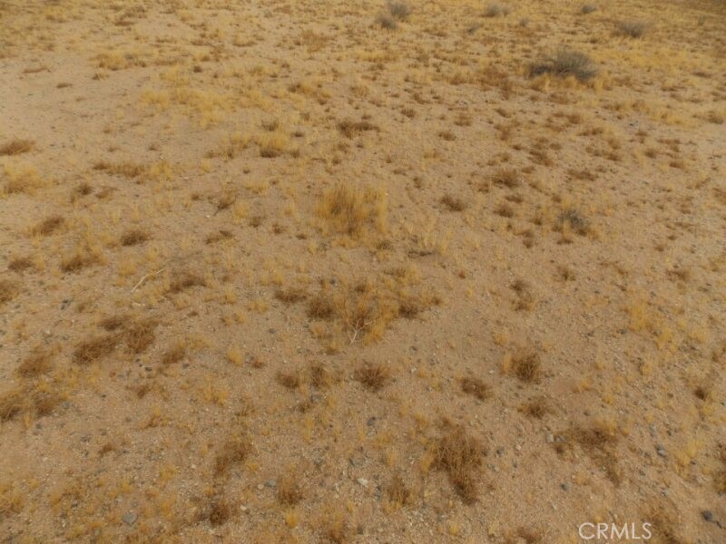 MLS #HD25001749 image #6