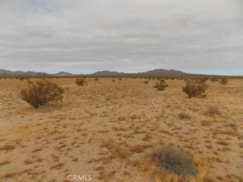 MLS #HD25001749 image #7