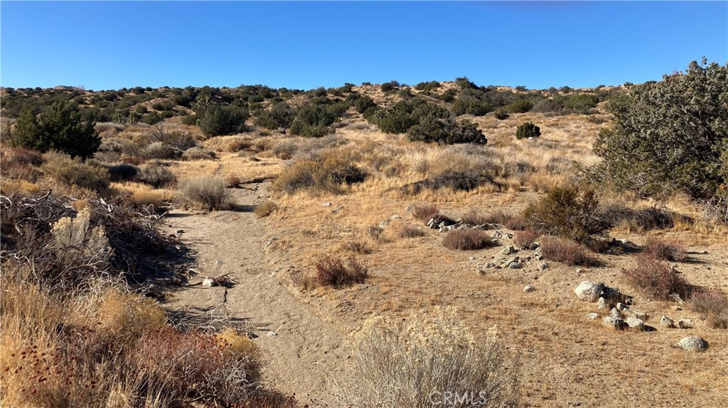 MLS #HD25011495 image #1