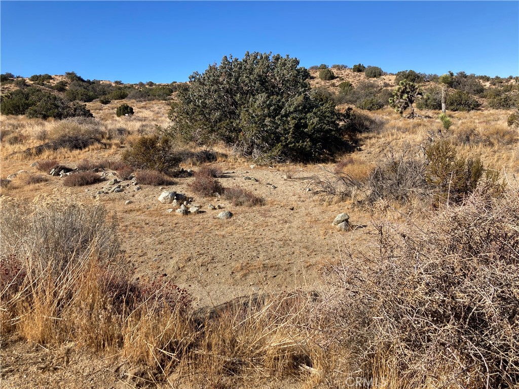 MLS #HD25011495 image #2